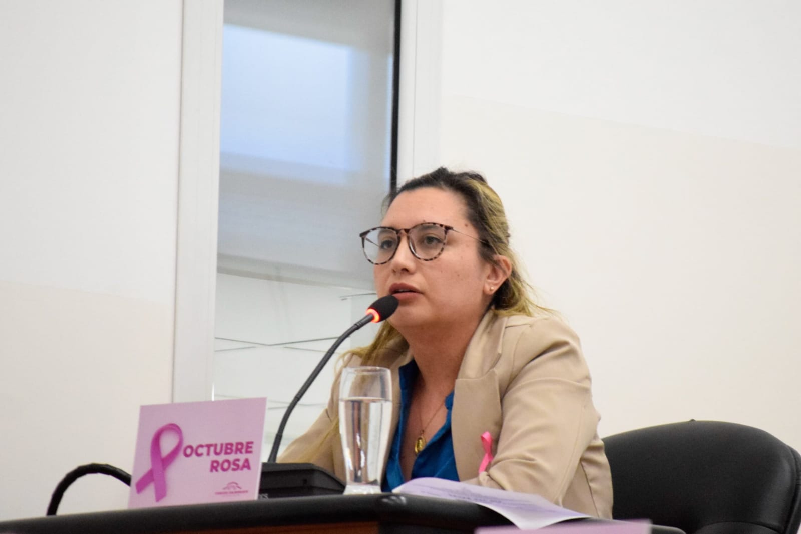 Gimena Bórquez cuestionó los aumentos del transporte y la SCPL y pidió devolver al Concejo la facultad de definir las tarifas