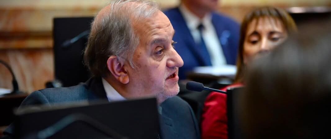 Carlos Linares defendió la causa Malvinas en el Senado y destacó el gesto de la Selección Argentina