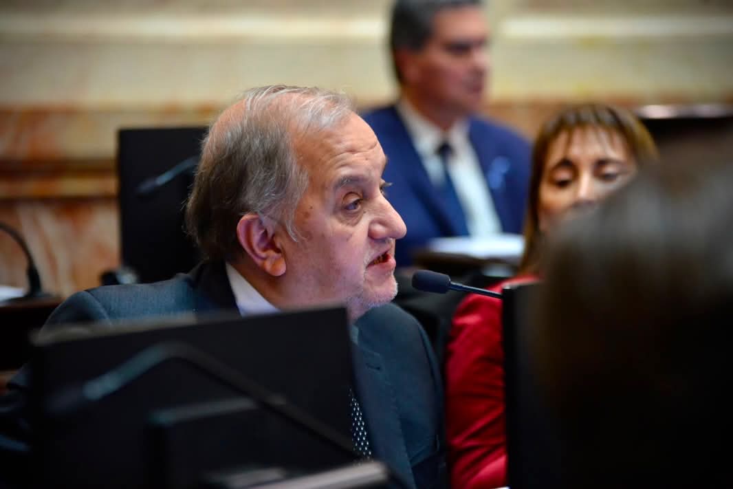 Carlos Linares defendió la causa Malvinas en el Senado y destacó el gesto de la Selección Argentina