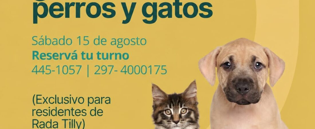 Rada Tilly realizará una jornada especial de castración para perros y gatos este sábado