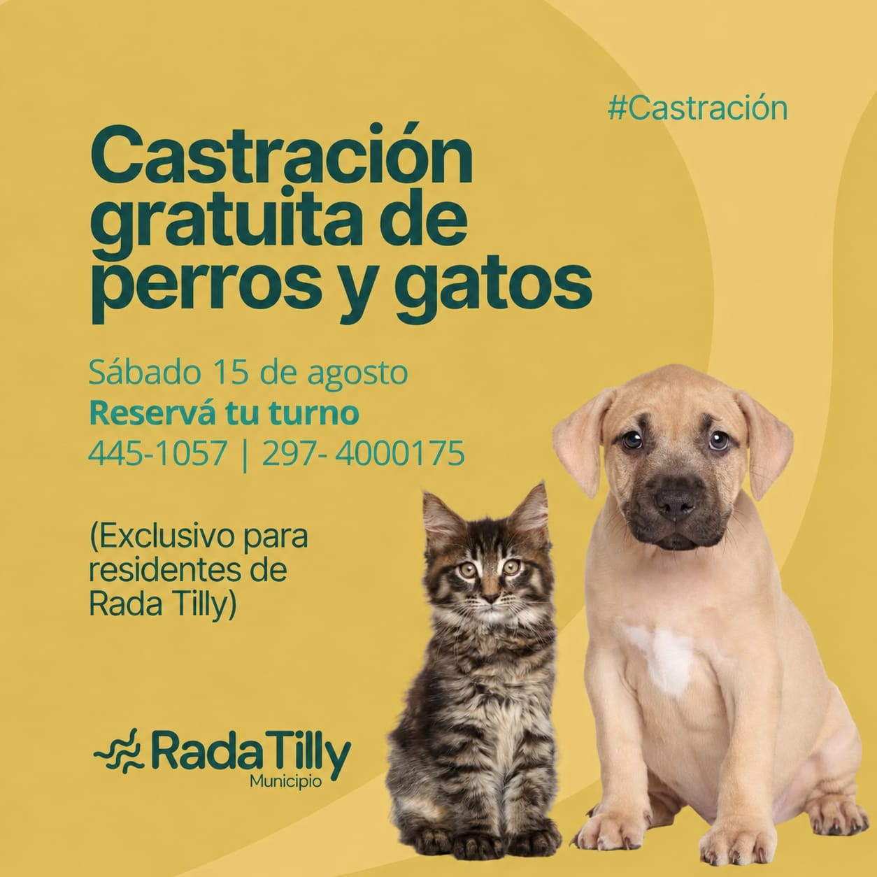 Rada Tilly realizará una jornada especial de castración para perros y gatos este sábado