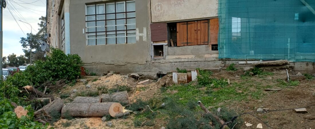 Trabajo articulado en el territorio: avanzan en el despeje de calles para dar inicio a obras en el barrio LU4