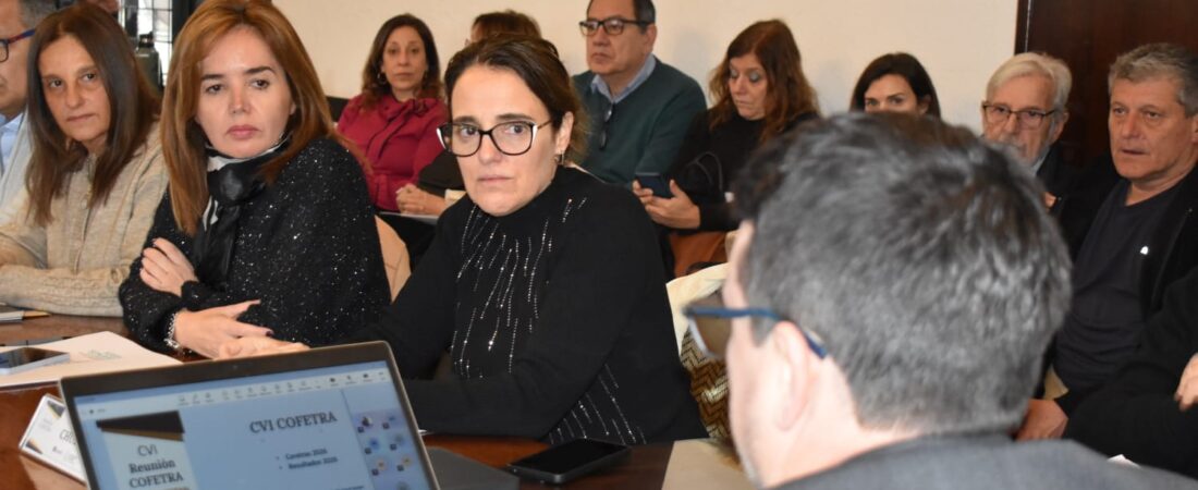 CUCAI Chubut participó de la reunión de la Comisión Federal de Trasplante
